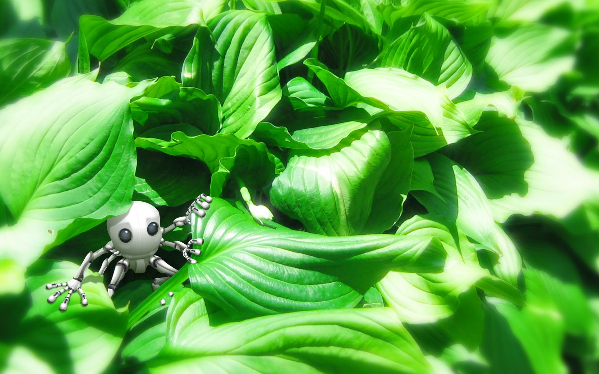 Robot on leaves