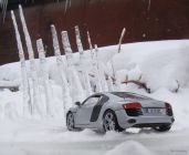   Audi R8 (1/18)